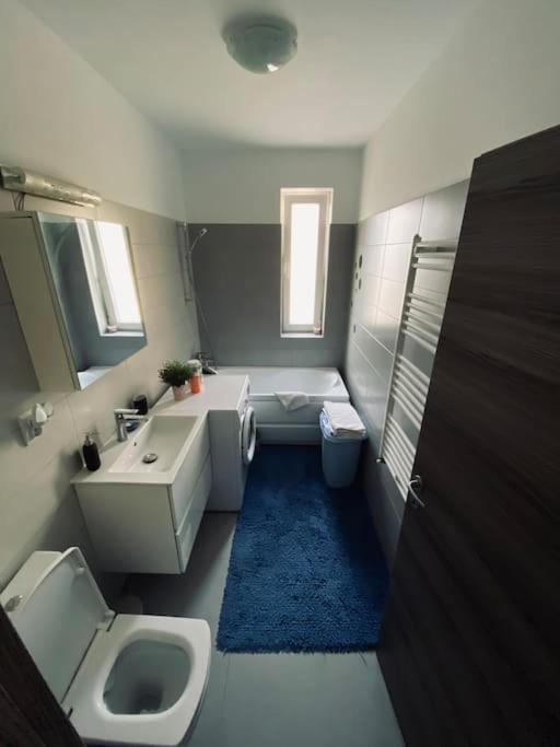 Apartament 2 Camere Modern Si Confortabil Giroc Εξωτερικό φωτογραφία